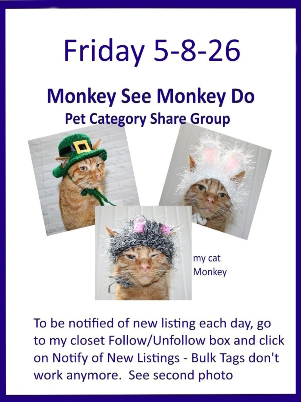 Saturday 5-9-26 Dog Cat Small Animal Pet Share Discussion Group